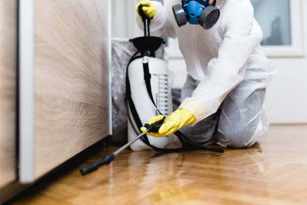 Best Bed Bug Extermination  in Apollo Beach, FL