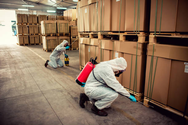Best Bed Bug Extermination  in Apollo Beach, FL