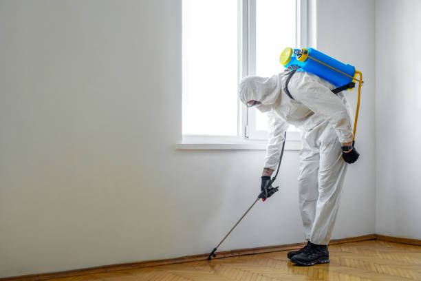 Best Pest Control Near Me  in Apollo Beach, FL