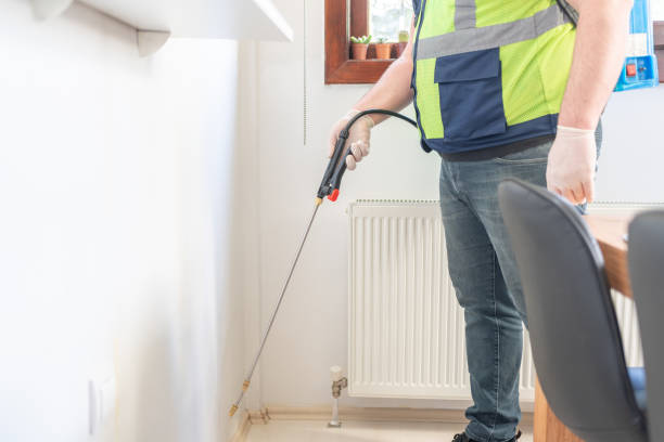 Best Affordable Pest Control Services  in Apollo Beach, FL