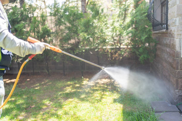 Best Best Pest Control Companies  in Apollo Beach, FL