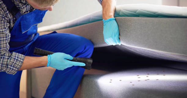 Best Exterminator Services  in Apollo Beach, FL