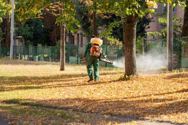 Best Pest Control Near Me in Apollo Beach, FL