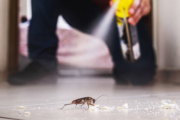 Best Residential Pest Control  in Apollo Beach, FL