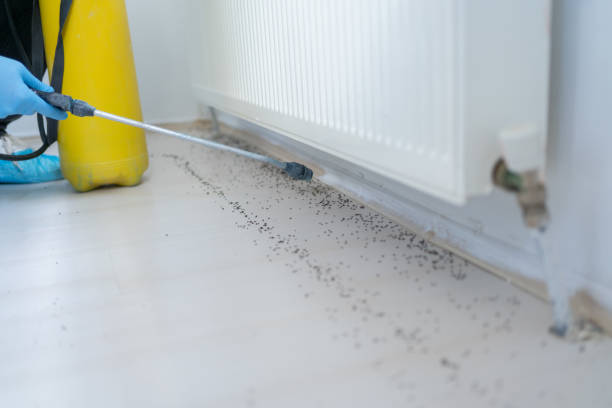 Best Pest Prevention Services  in Apollo Beach, FL