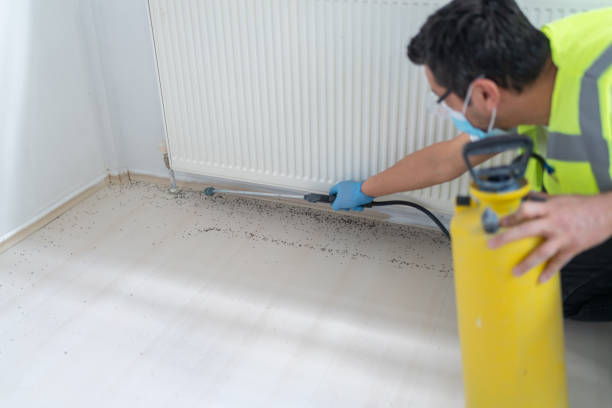 Best Wildlife Control Services  in Apollo Beach, FL